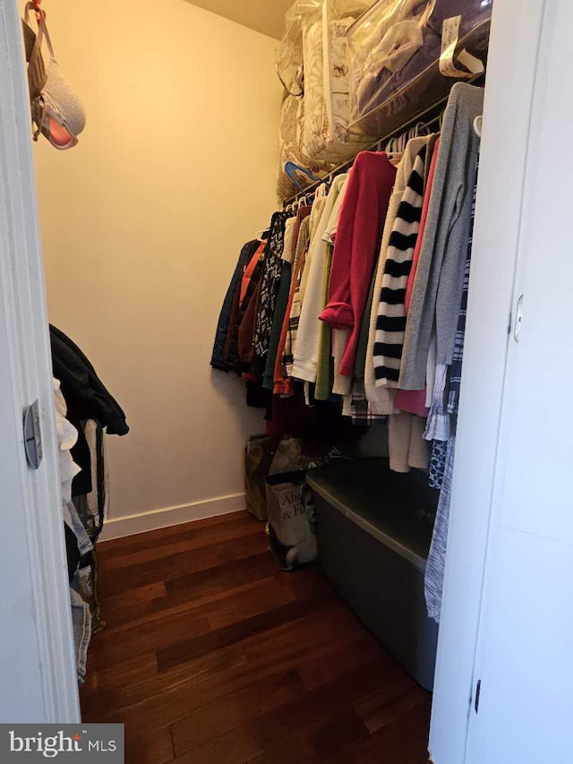 walk in closet with dark hardwood / wood-style flooring