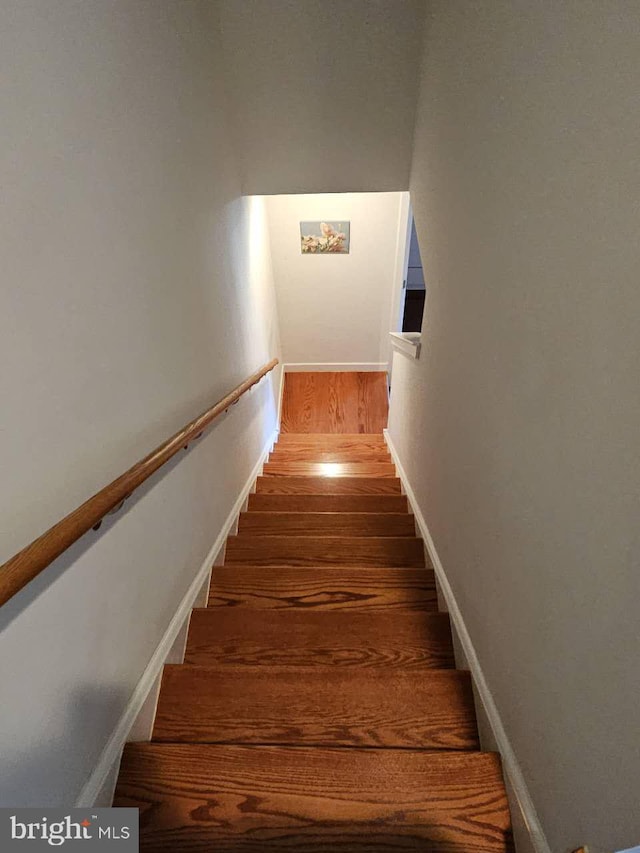 stairway featuring hardwood / wood-style flooring