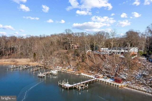 birds eye view of property featuring a water view