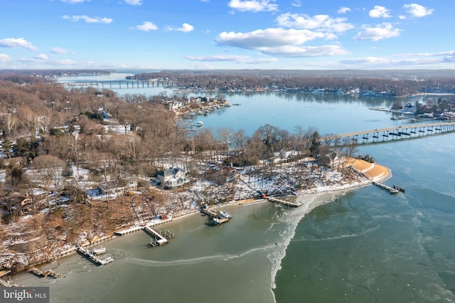 bird's eye view featuring a water view