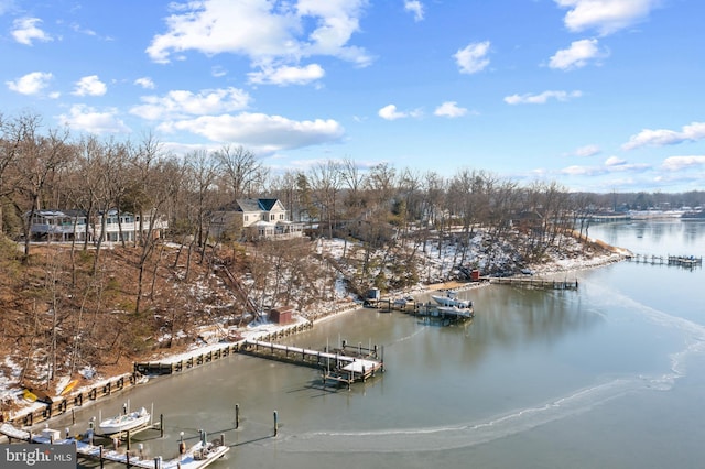 exterior space with a dock