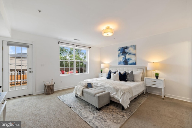 bedroom featuring access to exterior, carpet, and multiple windows