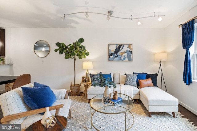 living room featuring wood-type flooring