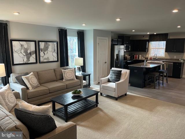 living room featuring light hardwood / wood-style flooring