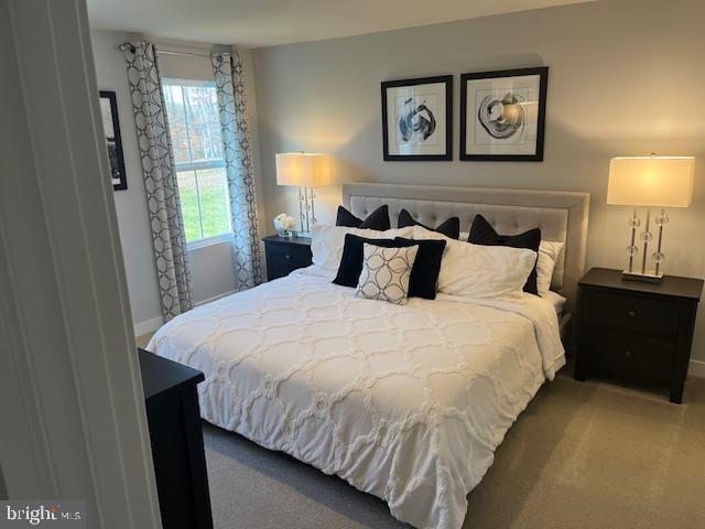 bedroom with carpet floors