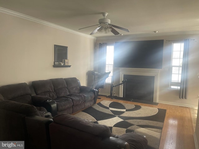 living room featuring light hardwood / wood-style flooring, ceiling fan, and crown molding