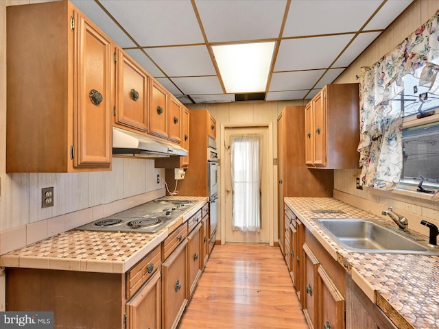 kitchen with a paneled ceiling, light hardwood / wood-style floors, sink, and appliances with stainless steel finishes