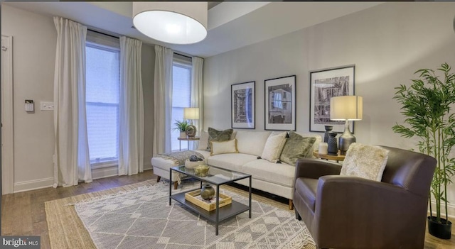 living room with hardwood / wood-style flooring