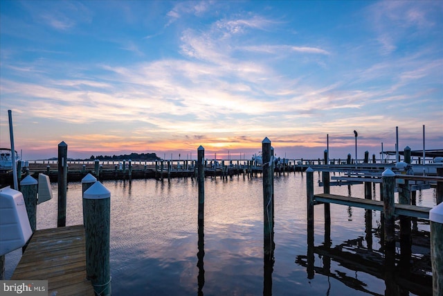 dock area featuring a water view