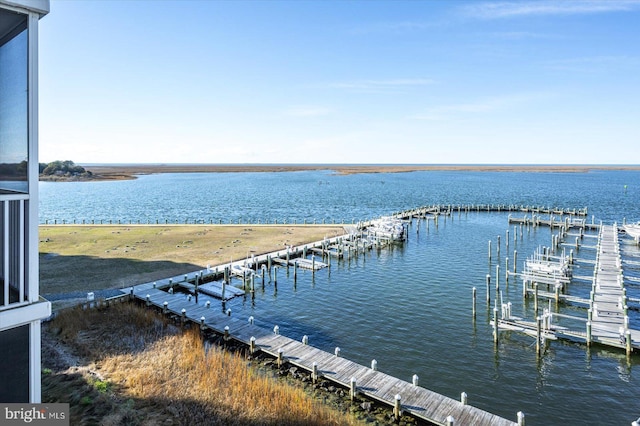 dock area with a water view