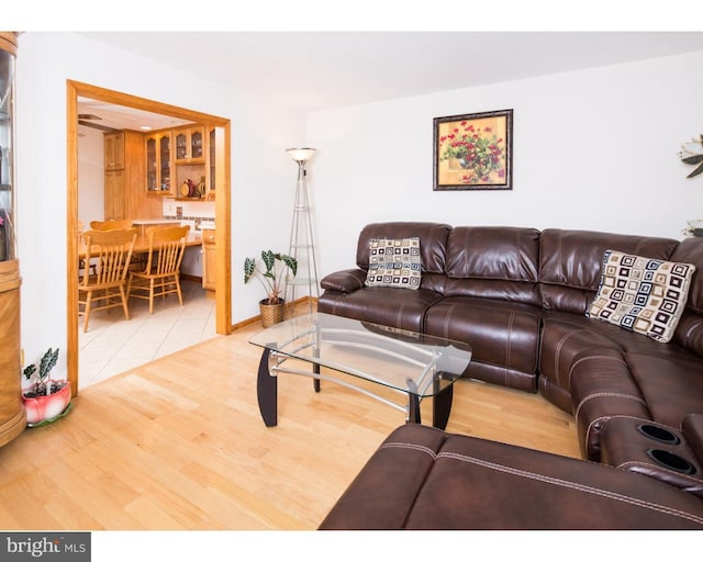 living room featuring wood-type flooring