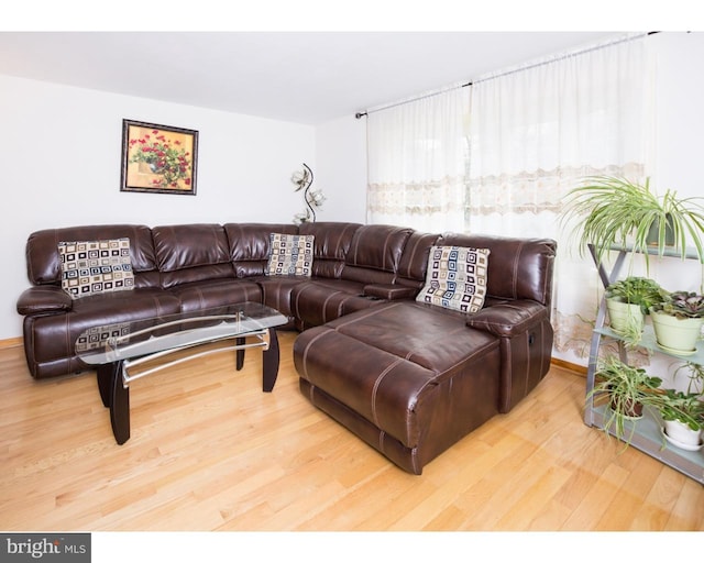 living room featuring hardwood / wood-style floors