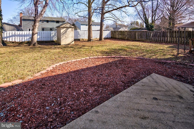 view of yard featuring a storage shed