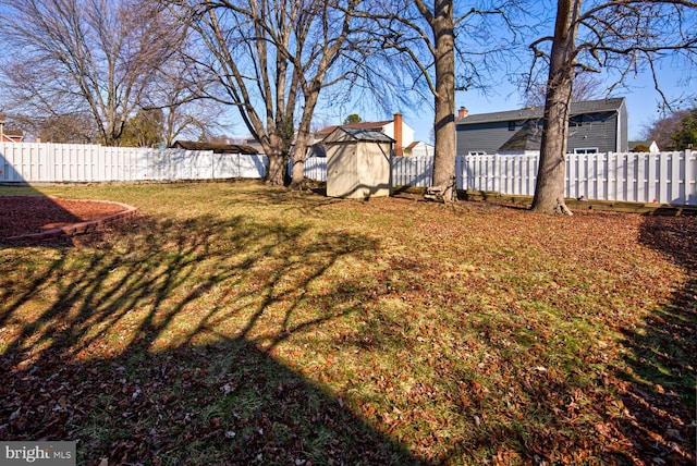 view of yard featuring a shed