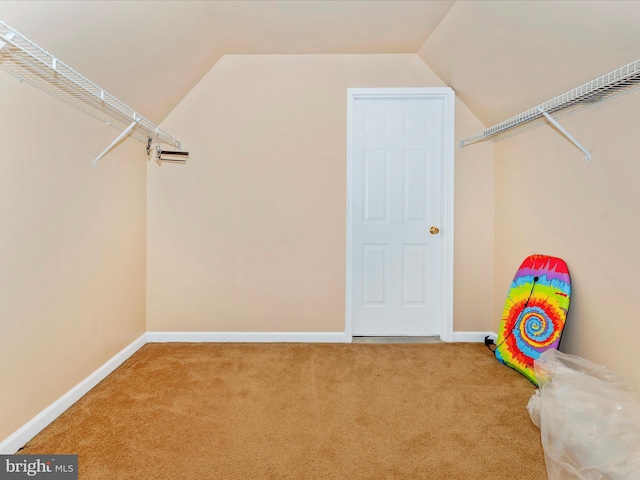 walk in closet with lofted ceiling and carpet floors