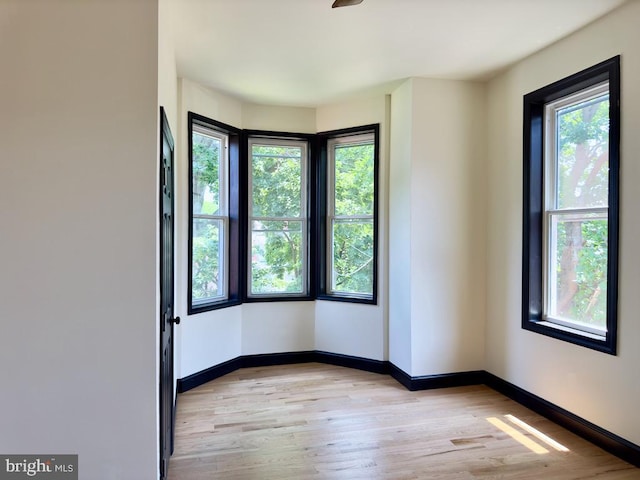 empty room with light wood-type flooring