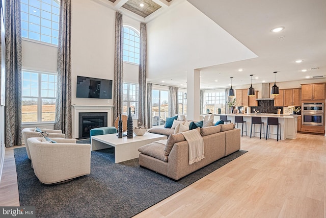 living room with plenty of natural light, light hardwood / wood-style floors, and a high ceiling