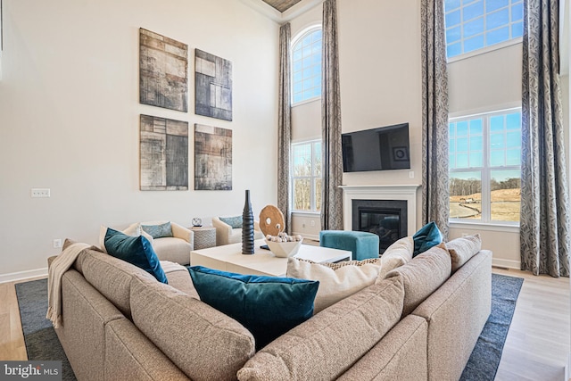 living room featuring hardwood / wood-style flooring, a towering ceiling, and a wealth of natural light