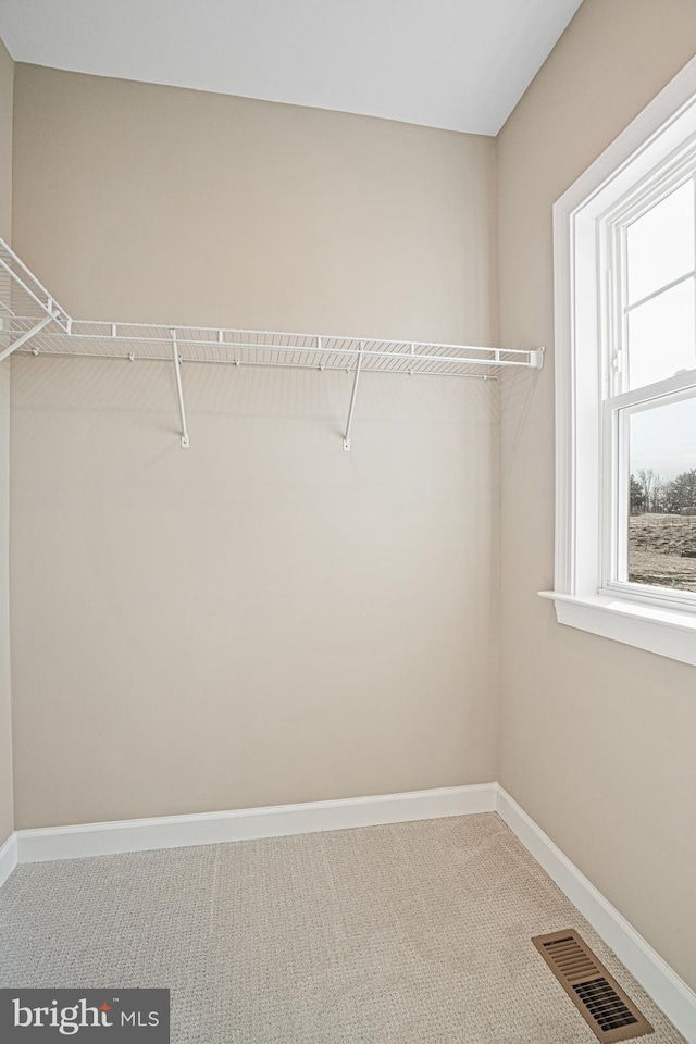 spacious closet featuring carpet