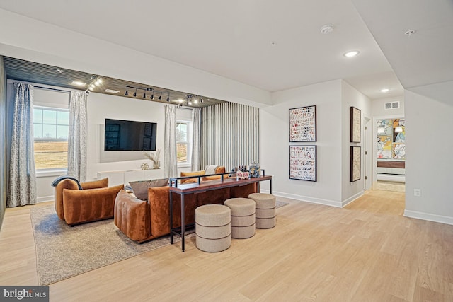 living room featuring a healthy amount of sunlight and light hardwood / wood-style flooring