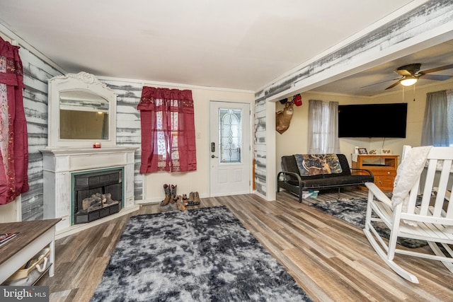 living room featuring ceiling fan, hardwood / wood-style floors, and ornamental molding