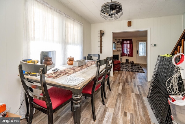 dining room with wood walls, hardwood / wood-style floors, and a healthy amount of sunlight