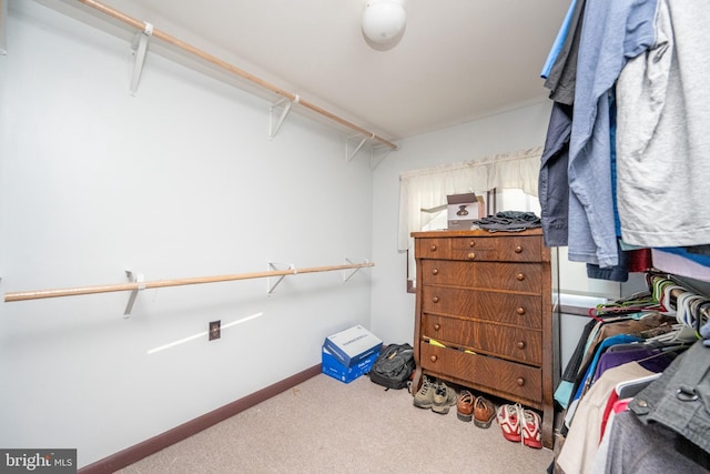 walk in closet with carpet flooring