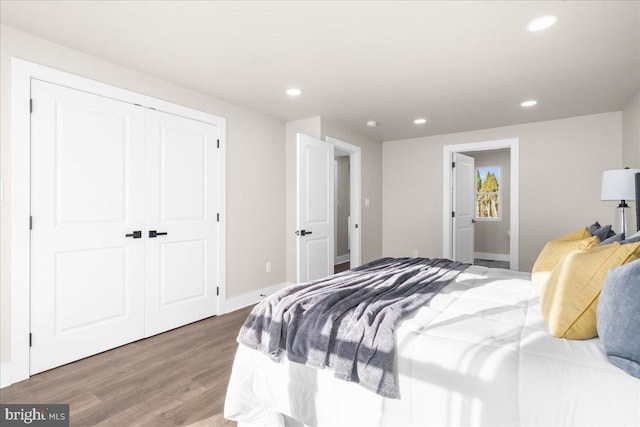 bedroom with a closet and wood-type flooring