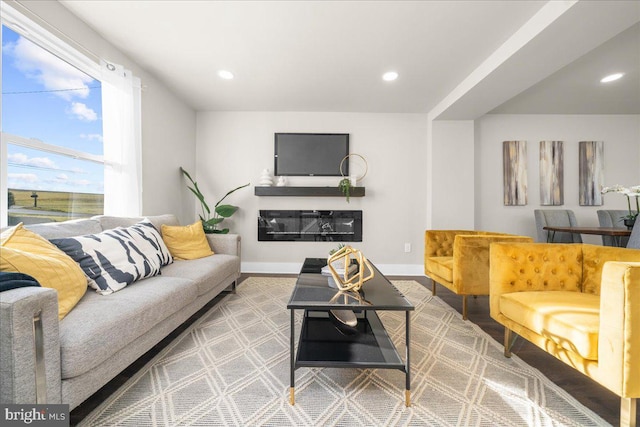 living room with wood-type flooring