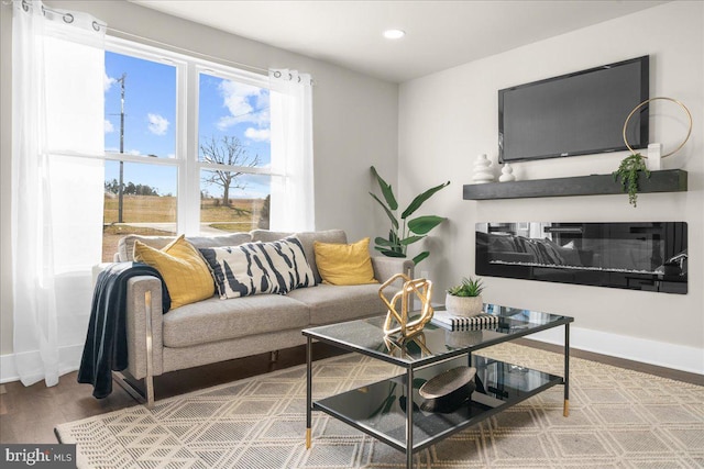 living room with hardwood / wood-style flooring