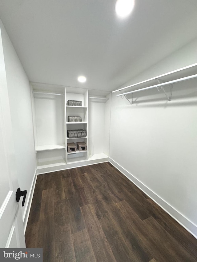 walk in closet featuring dark hardwood / wood-style floors