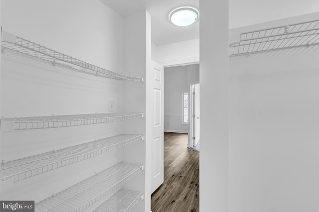 walk in closet featuring dark hardwood / wood-style floors