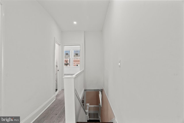 staircase with wood-type flooring