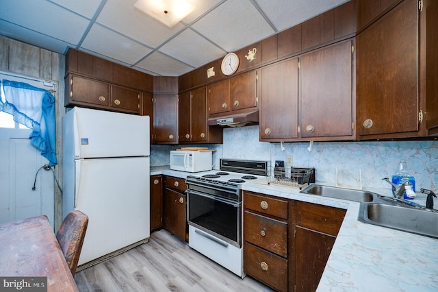 kitchen featuring a paneled ceiling, white appliances, sink, light hardwood / wood-style flooring, and dark brown cabinetry