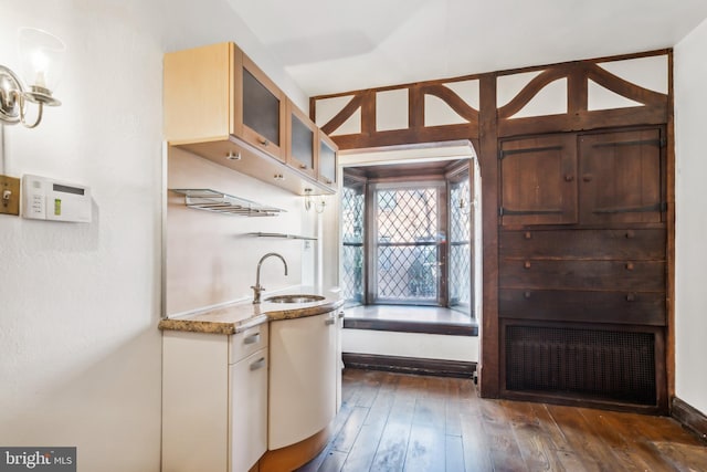 kitchen with sink and dark wood-type flooring