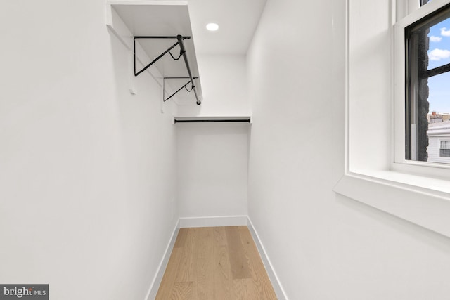 walk in closet with light wood-type flooring