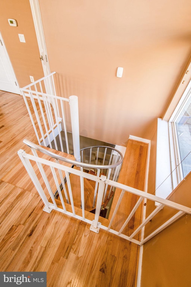 staircase featuring hardwood / wood-style floors