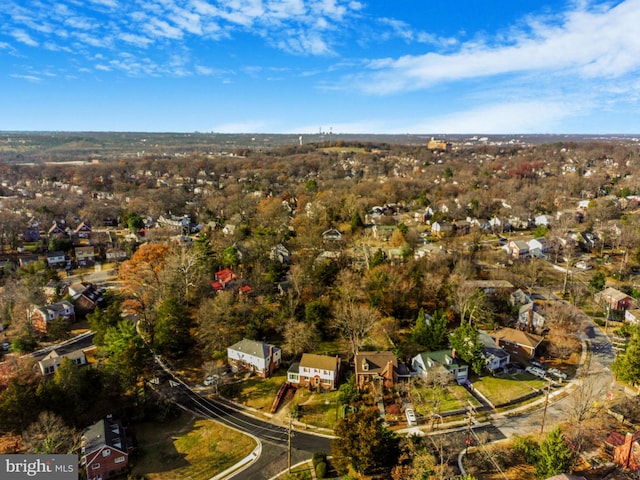 bird's eye view