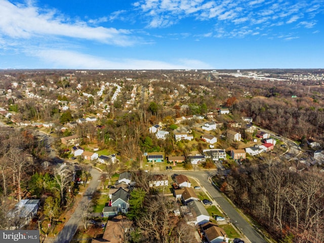 bird's eye view