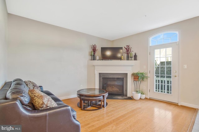 living room with light wood-type flooring