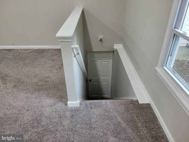 stairs with carpet