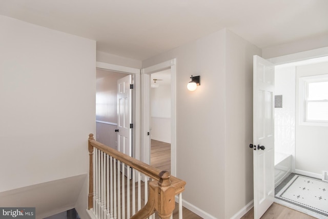 hall featuring light wood-type flooring