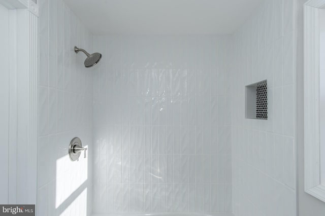 interior details with tiled shower