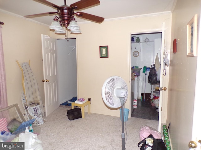 carpeted bedroom featuring ceiling fan, a closet, and ornamental molding