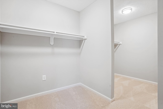 walk in closet with carpet floors