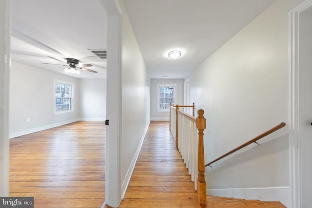 hall featuring plenty of natural light and light hardwood / wood-style flooring