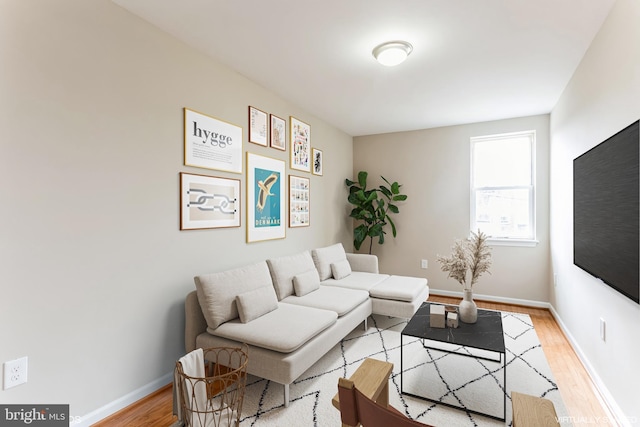 living room with light wood-type flooring