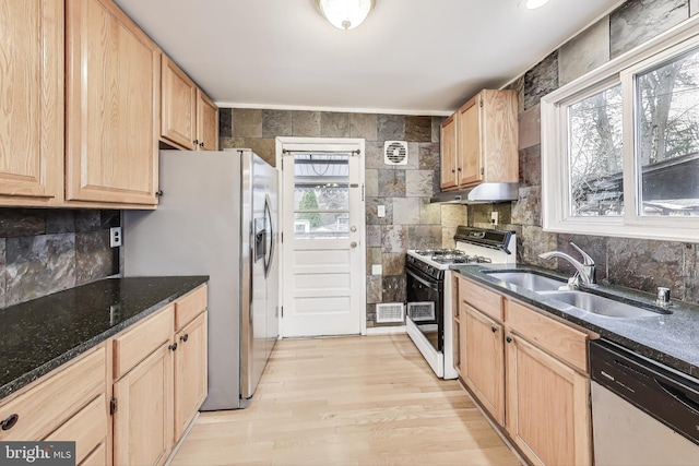 kitchen featuring plenty of natural light, light hardwood / wood-style floors, sink, and stainless steel appliances