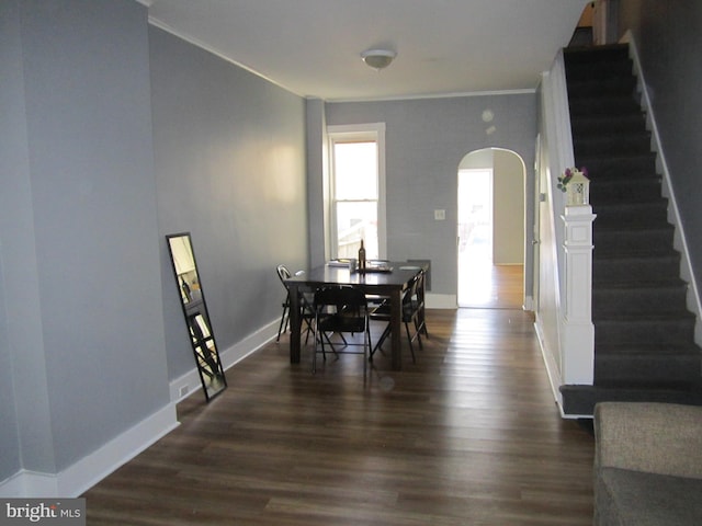 dining room with ornamental molding and dark wood-type flooring