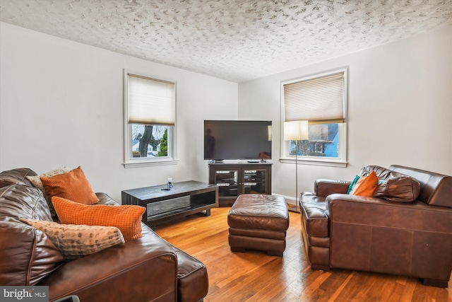 living room with wood-type flooring and a textured ceiling